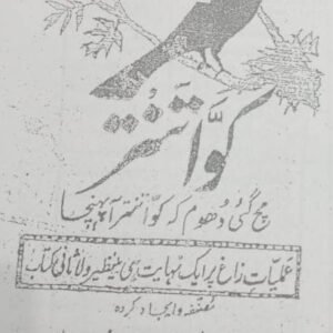 Kuwa Tantra (Bawa Dayal)